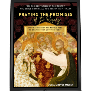 Book cover of Praying the Promises in an e-book frame