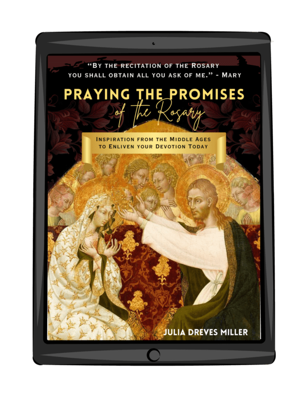 Book cover of Praying the Promises in an e-book frame